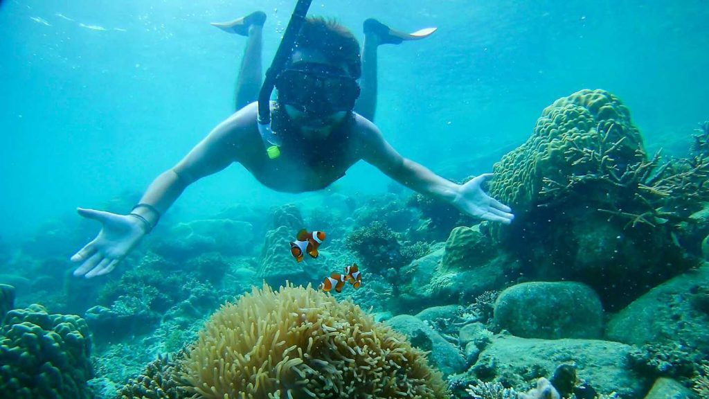 snorkeling-nemo-ilhas-perhentian