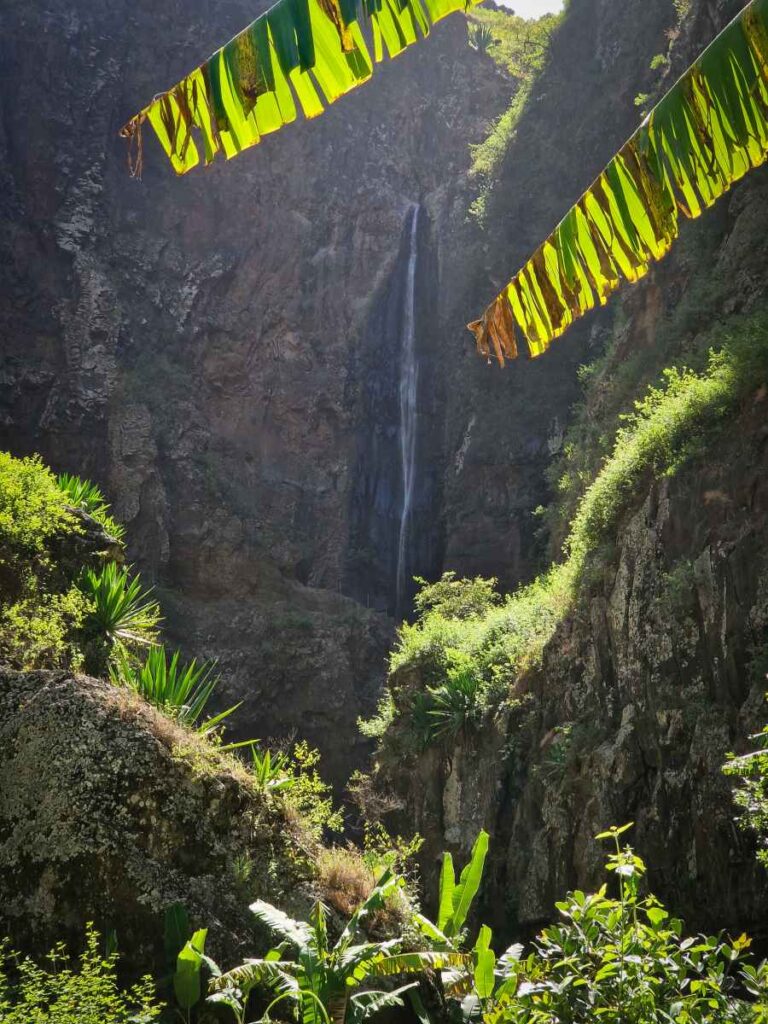 Vegetação verdejante em primeiro plano e ma cascata alta a cai de montanha ao fundo
