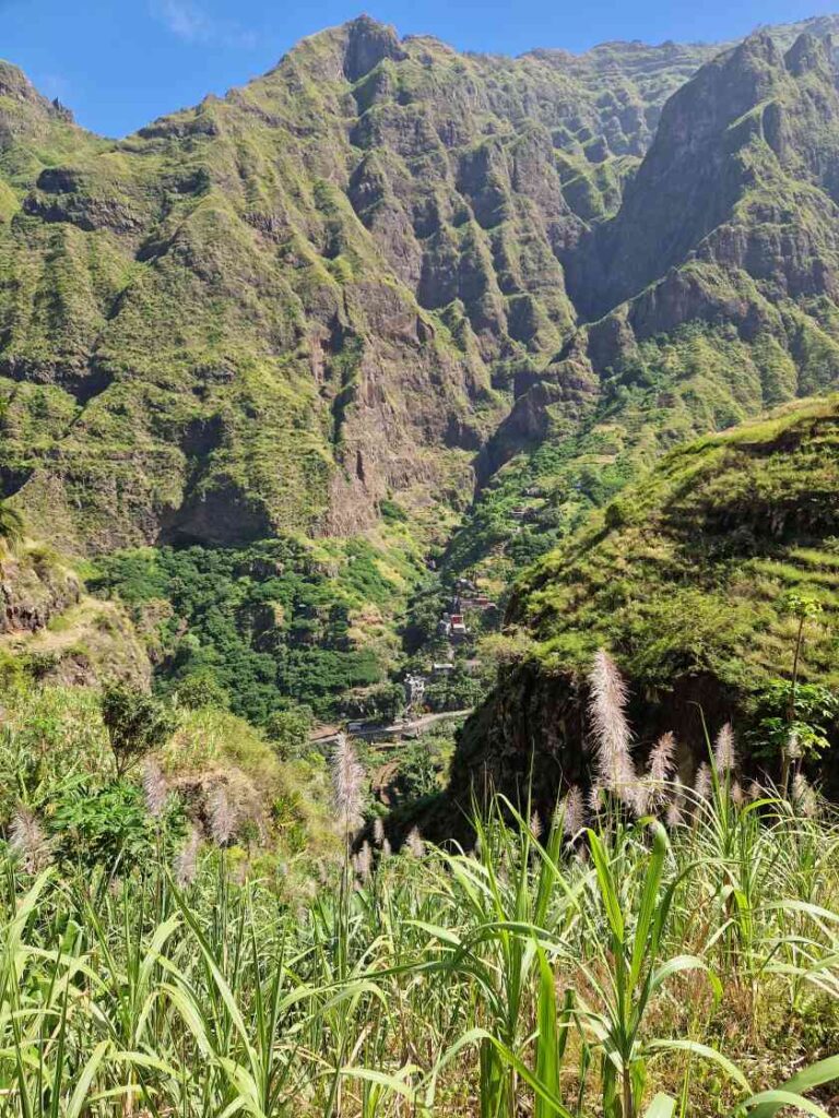 Paisagem de Xoxô entre montanhas verdes e em primeiro plano canas de açúcar em flor