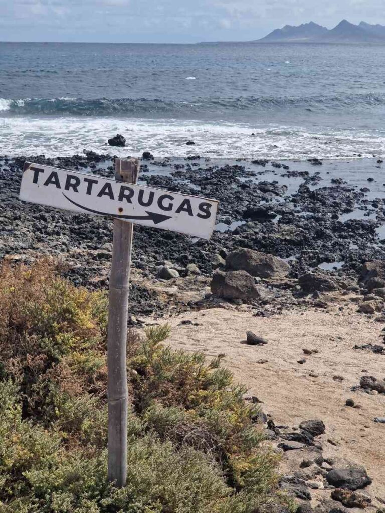 Uma seta onde se lê Tartarugas junto ao mar de pedra preta