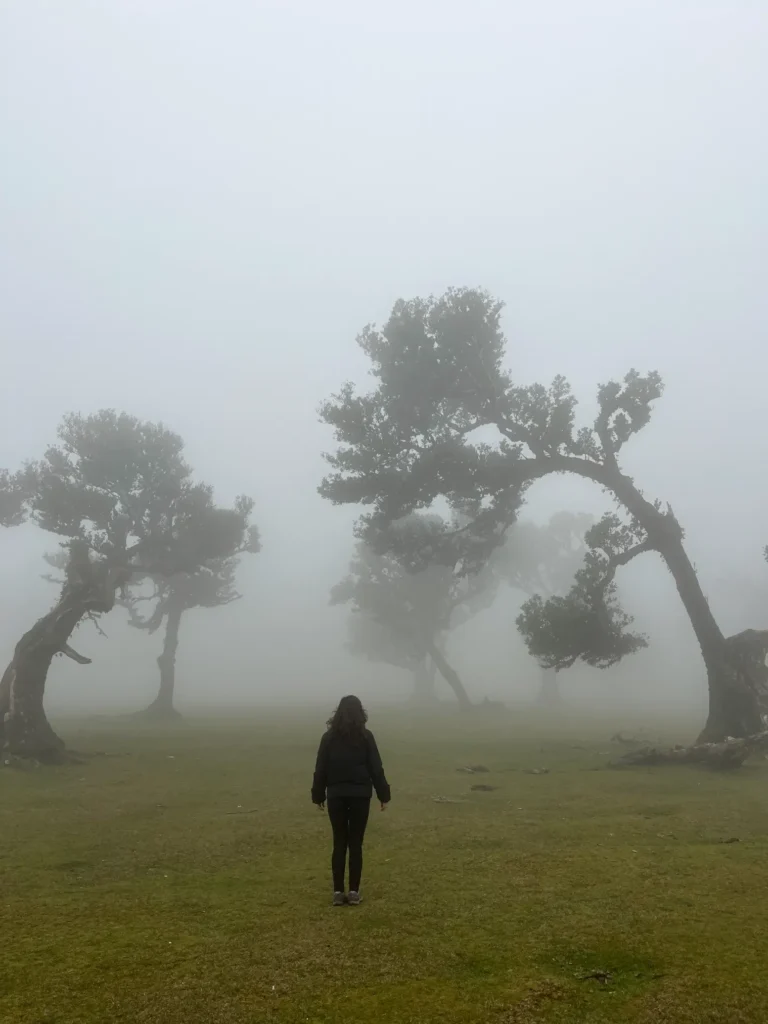 Pessoa a caminhar entre o cenário místico do Parque Florestal do Fanal, na Ilha da Madeira