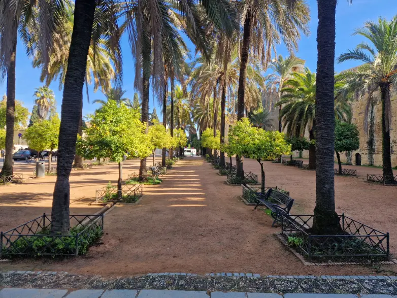 Zona exterior com chão em terra e palmeiras e laranjeiras alinhadas