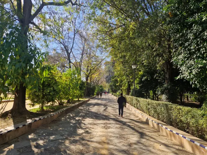 Passeio longo dos Jardins de Murillo em Sevilha