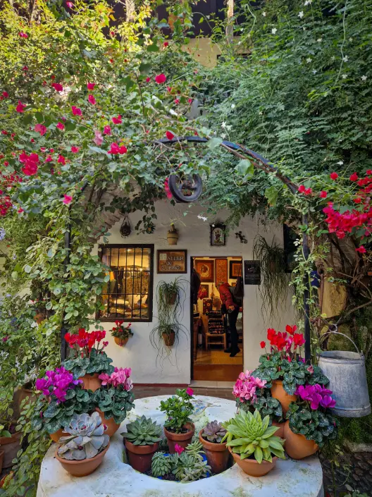 Pátio cheio de vasos e flores com um poço no centro